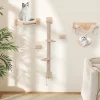 5 PCS Kletterwand Katzen in Hellbraun