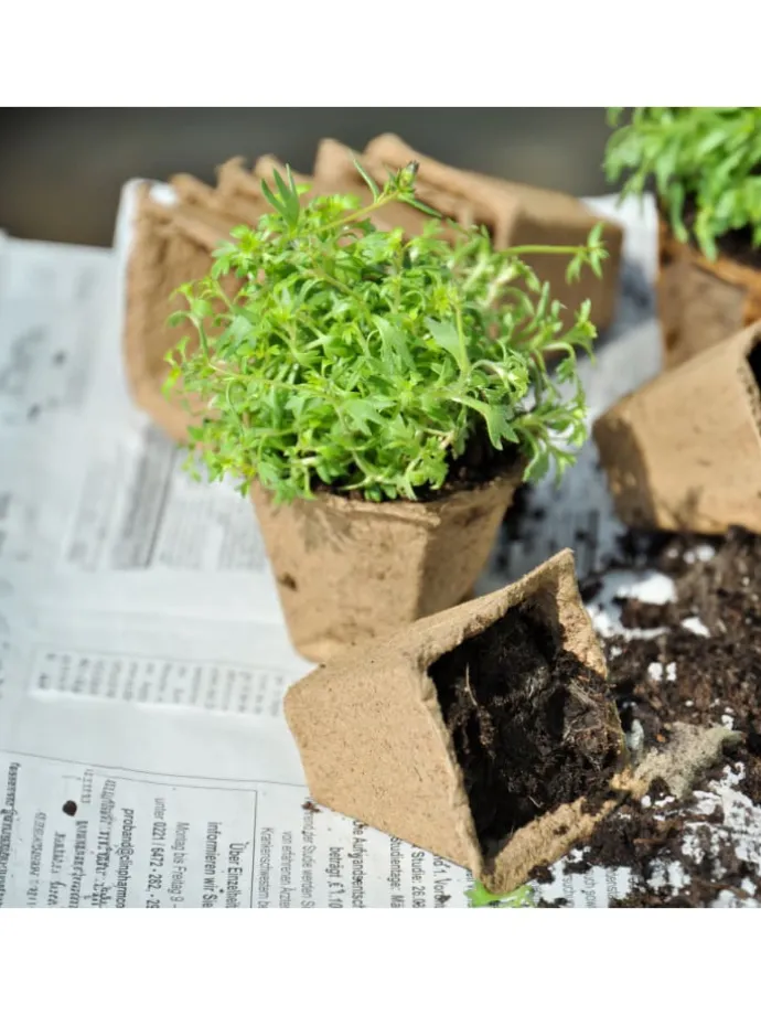 200 x Anzuchttöpfe in Braun - (B)3,5 x (H)5,5 x (T)3,5 cm