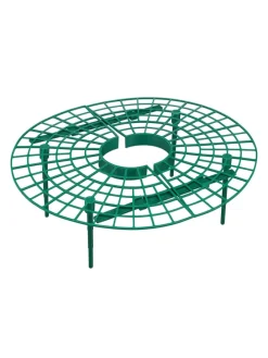 6 x Erdbeerreifer in Grün