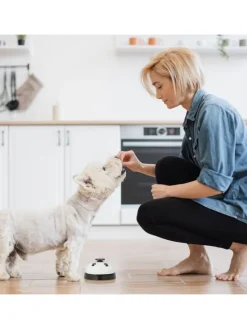 4 x Haustier Trainingsglocke in Bunt - (H)4,5 x Ø 7 cm