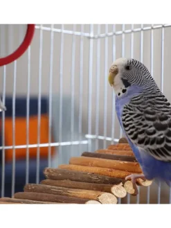 3 x Hängebrücke Nager in Natur - (B)55 x (H)1,5 x (T)10 cm