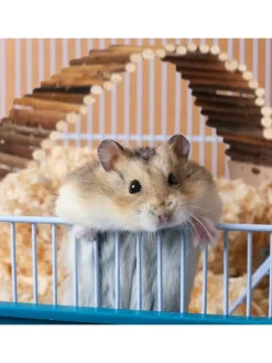 3 x Hängebrücke Nager in Natur - (B)55 x (H)1,5 x (T)10 cm