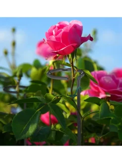 6 x Pflanzstäbe in Schwarz - 80 cm