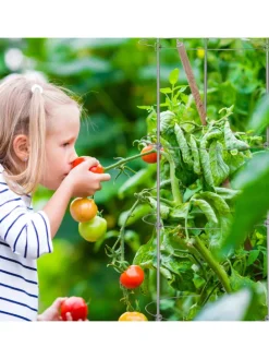 2 x Rankhilfe in Grau - (H)150 x Ø30 cm