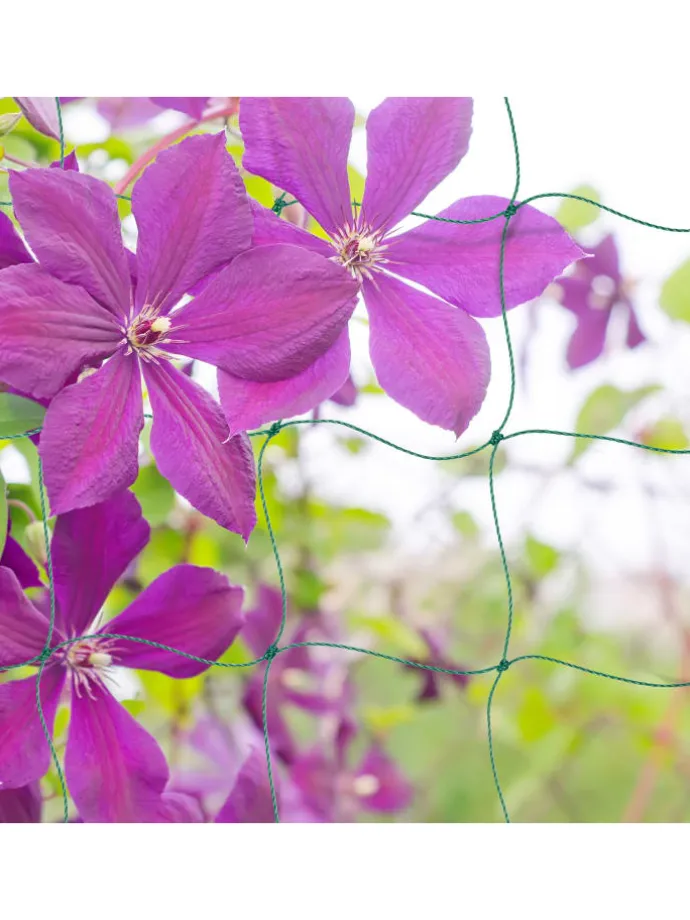 4 x Ranknetz in Grün - (B)350 x (H)200 cm