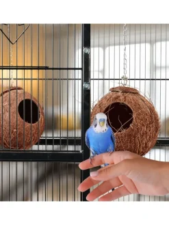 2 x Vogelhaus in Natur