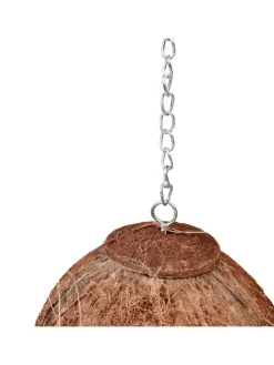 2 x Vogelhaus in Natur