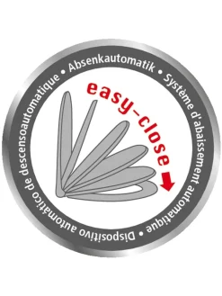 Absenkautomatik-WC-Sitz 