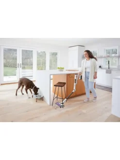 Akku Staubsauger IW1611DE DETECT PRO mit Bürstenrolle in weiß