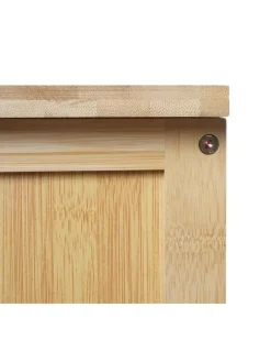 Badezimmerschrank B18 mit 2 Türen