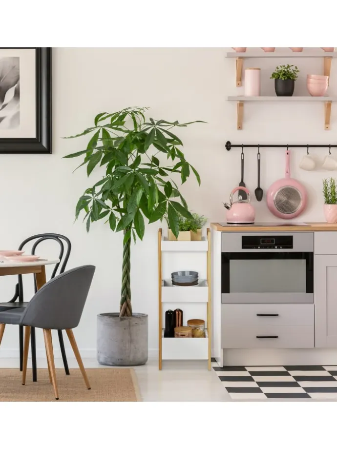 Badregal in Natur/ Weiß - (B)28 x (H)74,5 x (T)20 cm