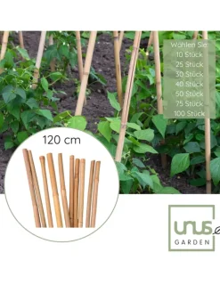 Bambusstäbe 120 cm in Braun