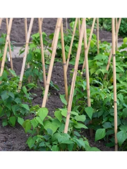 Bambusstäbe 120 cm in Braun