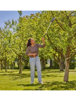 Baum- und Strauchschneider 