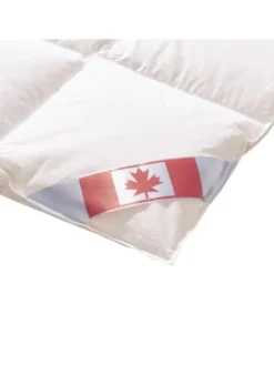 Bettdecke Daunendecke Canada Leicht in Weiß