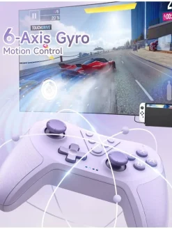 Bluetooth Controller, Switch Controller mit 6-Axis Motion in Lila