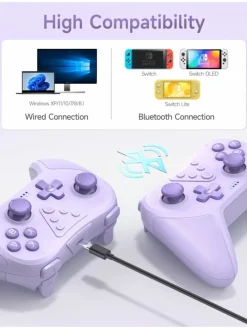 Bluetooth Controller, Switch Controller mit 6-Axis Motion in Lila