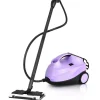 Dampfreiniger 2000W in Lila