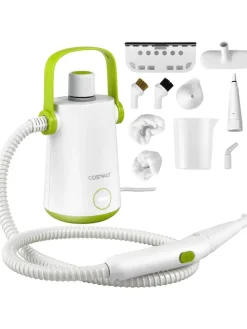 Dampfreiniger 1000W inkl. 10 Zubehör in Grün