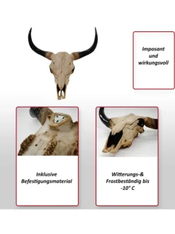 Deko Schädel Stier, Natur