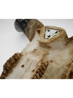 Deko Schädel Stier, Natur