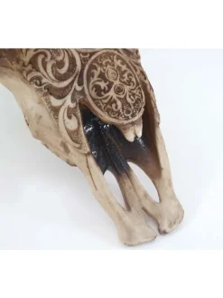 Deko Schädel T454 Stier