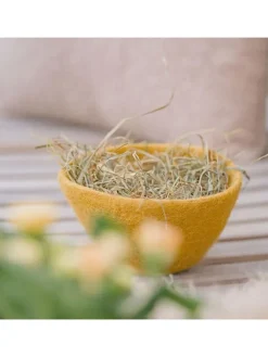 Dekoschale in Gelb - (H)9 x Ø 15 cm