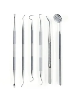 DENT DELUXE Zahnpflegeset in silber