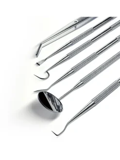 DENT DELUXE Zahnpflegeset in silber