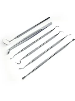 DENT DELUXE Zahnpflegeset in silber