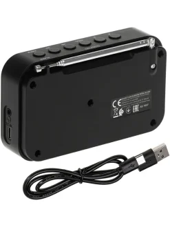 Digitalradio in Weiß/ Schwarz