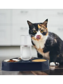 Doppelnapf mit Wasserspender in Blau
