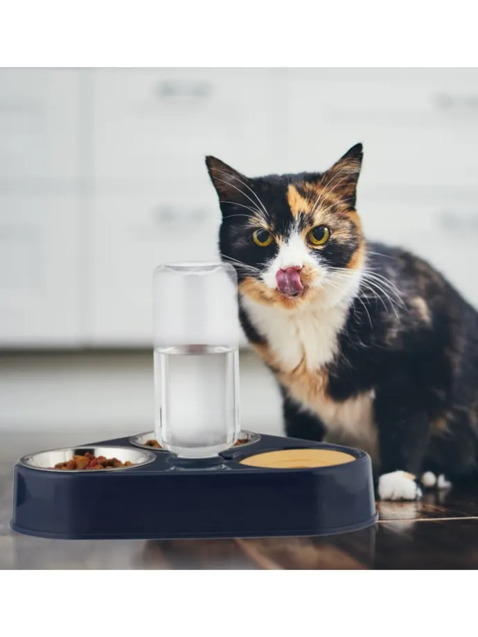 Doppelnapf mit Wasserspender in Blau