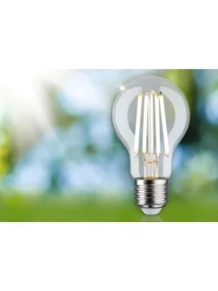 Eco-Line Filament 230V LED Birne 1er-Set A