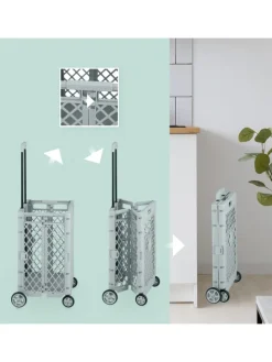 Einkaufstrolley in Grau