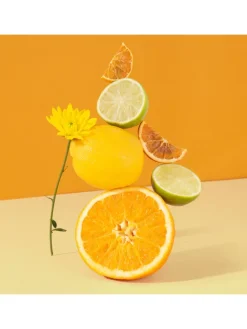 Elektrische Zitruspresse AGR82 in Schwarz