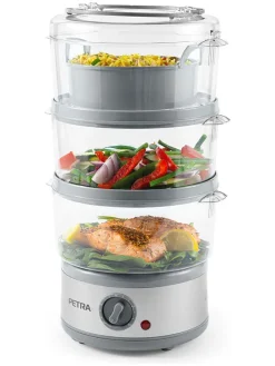 Elektro-Dampfgarer in Transparent/ Grau