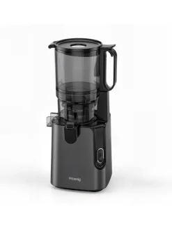 Entsafter GSX26 in Schwarz