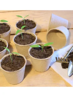 80er Set: Anzuchttöpfe in Beige