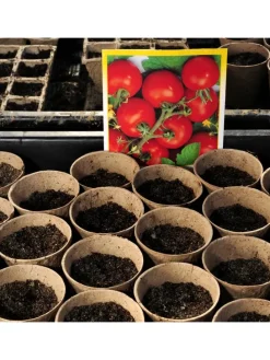 80er Set: Anzuchttöpfe in Beige