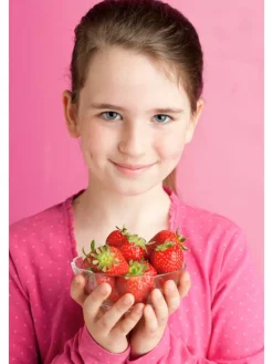 20-er set Erdbeerfrigopflanzen