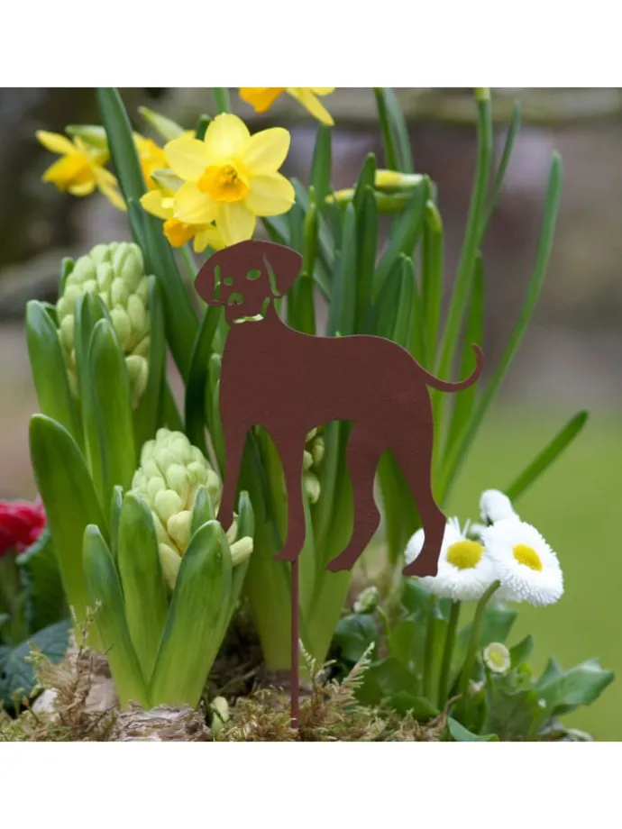 4er Set Gartenstecker Rost Hunde in Braun