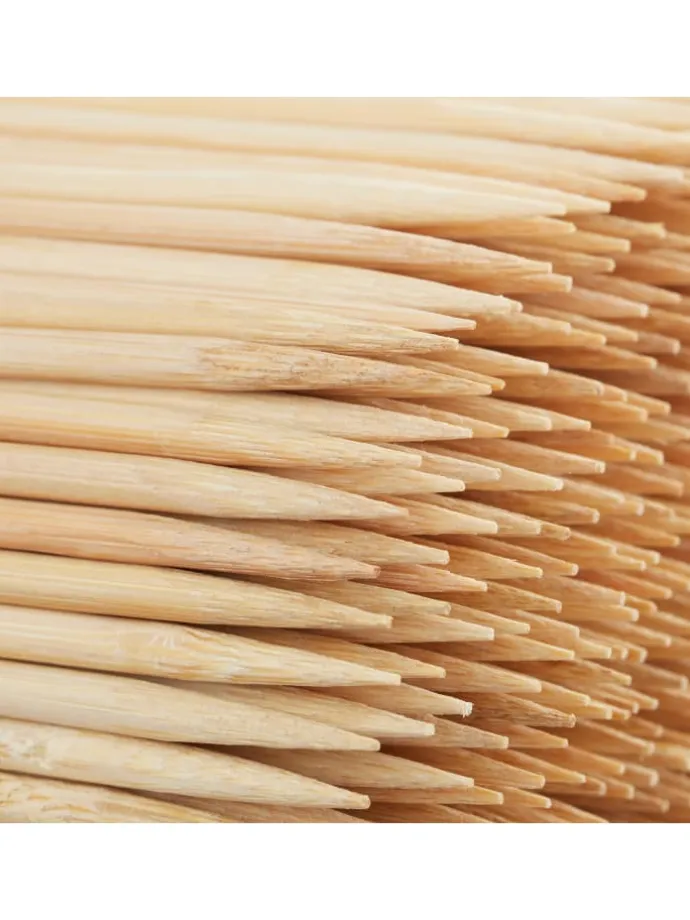 500er Set: Schaschlikspieße in Natur