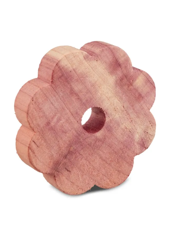 20er Set Zedernholz Mottenschutz - in Natur