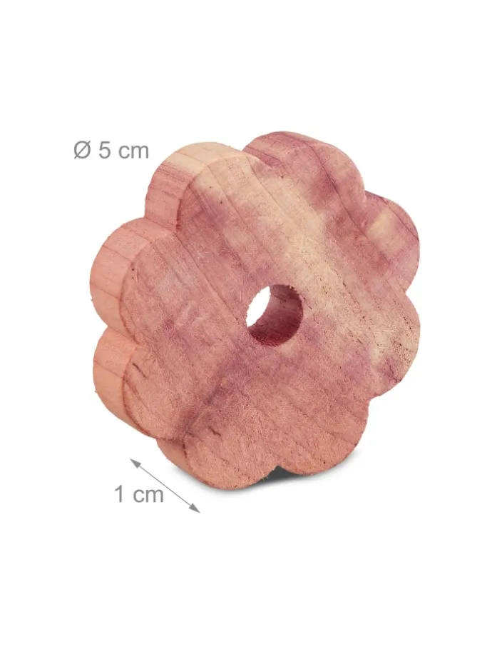 20er Set Zedernholz Mottenschutz - in Natur