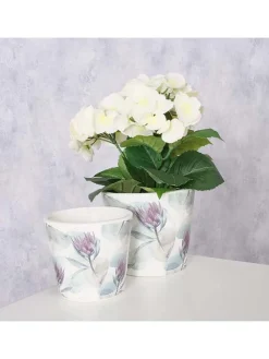 2er-Set: Übertopf ''Protea'' in Bunt