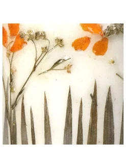 3er-Set: Blumentöpfe 