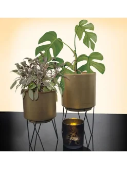 2er-Set: Blumentöpfe in Gold/ Schwarz