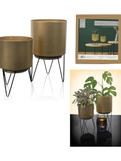 2er-Set: Blumentöpfe in Gold/ Schwarz