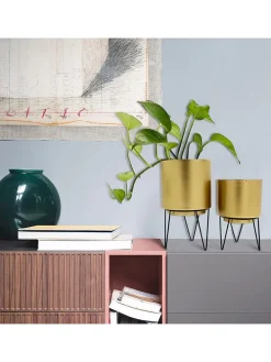 2er-Set: Blumentöpfe in Gold/ Schwarz